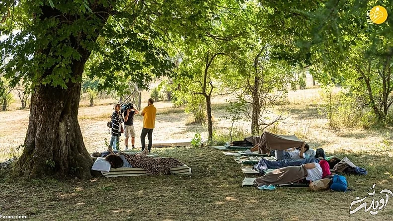 (تصاویر) مسابقه انتخاب تنبل&zwnj;ترین شهروند!